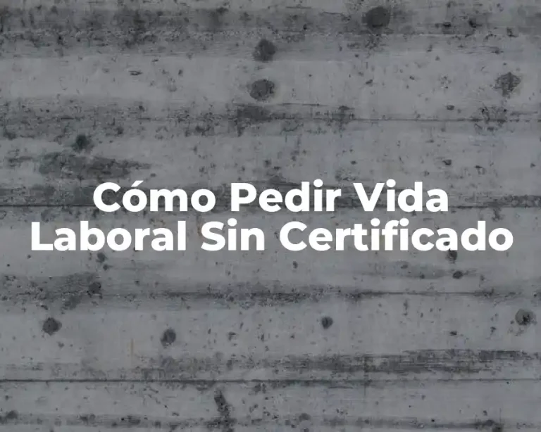 Cómo Pedir Vida Laboral Sin Certificado