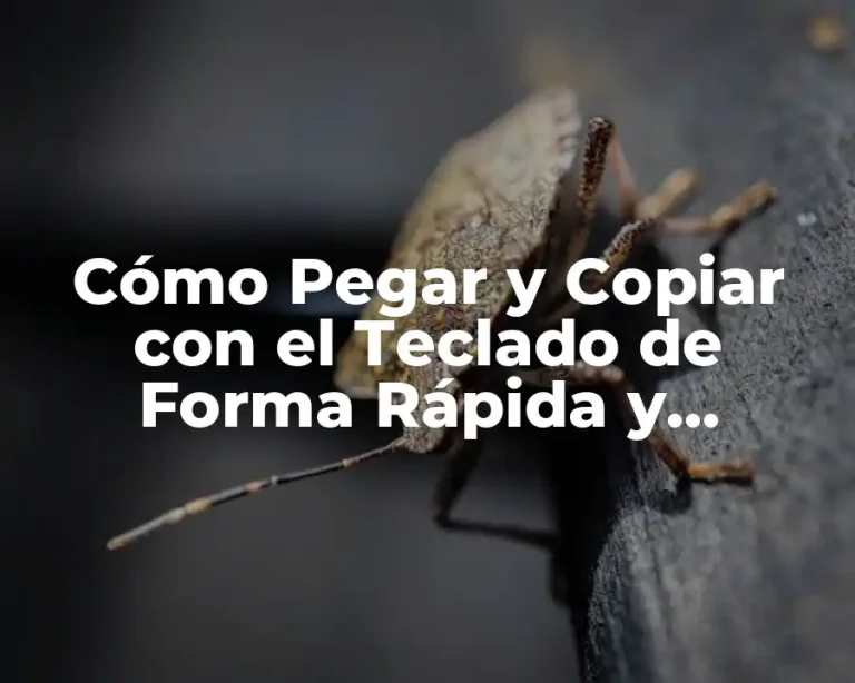 Cómo Pegar y Copiar con el Teclado de Forma Rápida y Eficiente