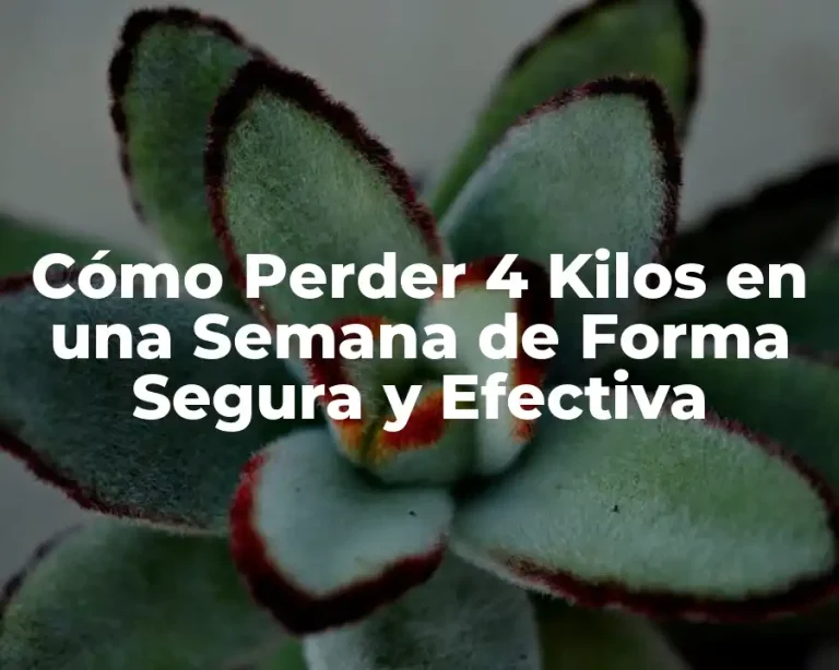 Cómo Perder 4 Kilos en una Semana de Forma Segura y Efectiva