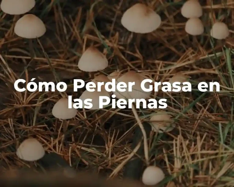 Cómo Perder Grasa en las Piernas