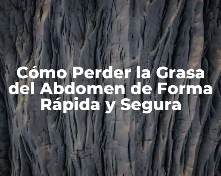 Cómo Perder la Grasa del Abdomen de Forma Rápida y Segura