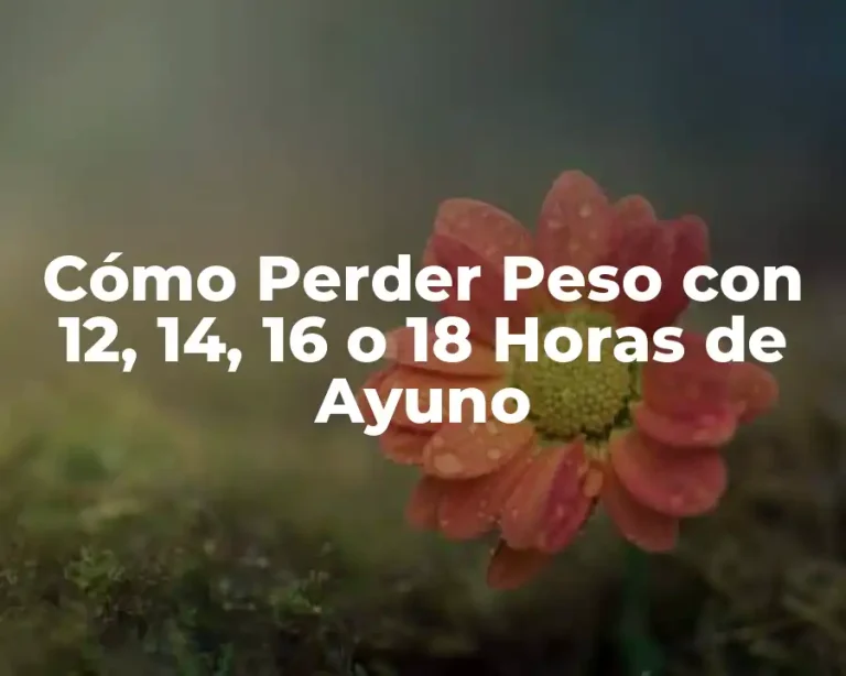 Cómo Perder Peso con 12, 14, 16 o 18 Horas de Ayuno