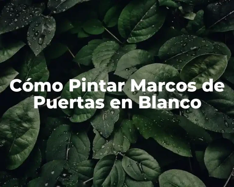 Cómo Pintar Marcos de Puertas en Blanco