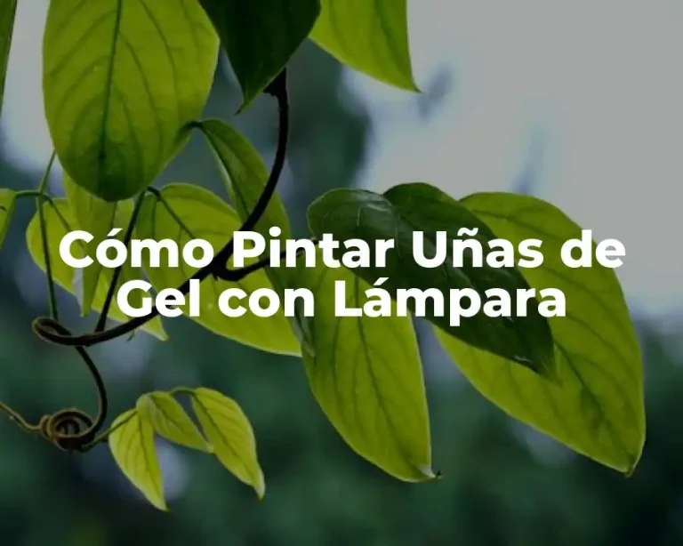Cómo Pintar Uñas de Gel con Lámpara