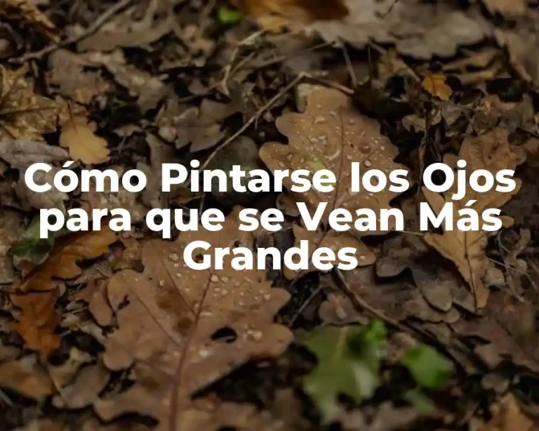 Cómo Pintarse los Ojos para que se Vean Más Grandes