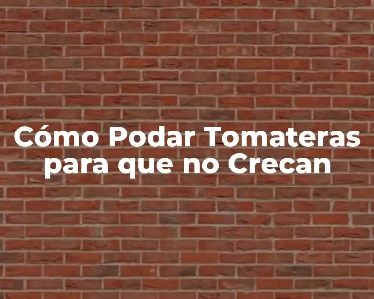 Cómo Podar Tomateras para que no Crecan