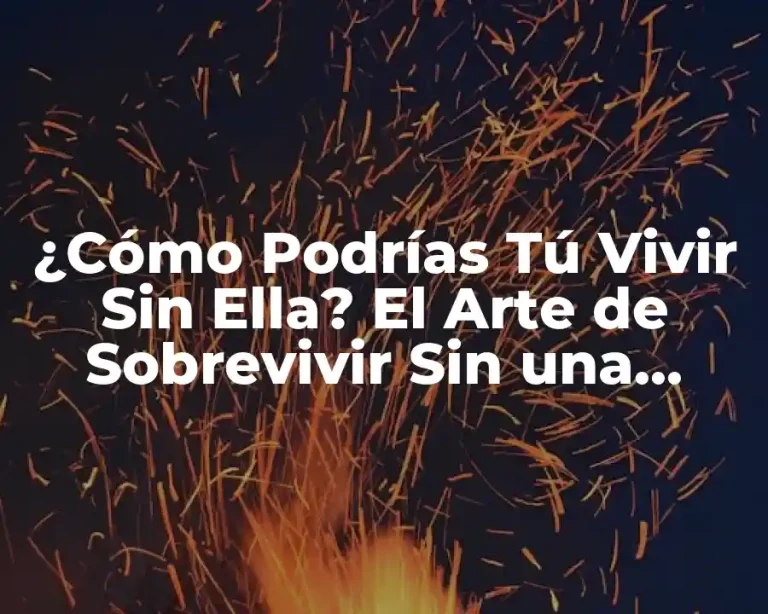 ¿Cómo Podrías Tú Vivir Sin Ella? El Arte de Sobrevivir Sin una Persona Especial