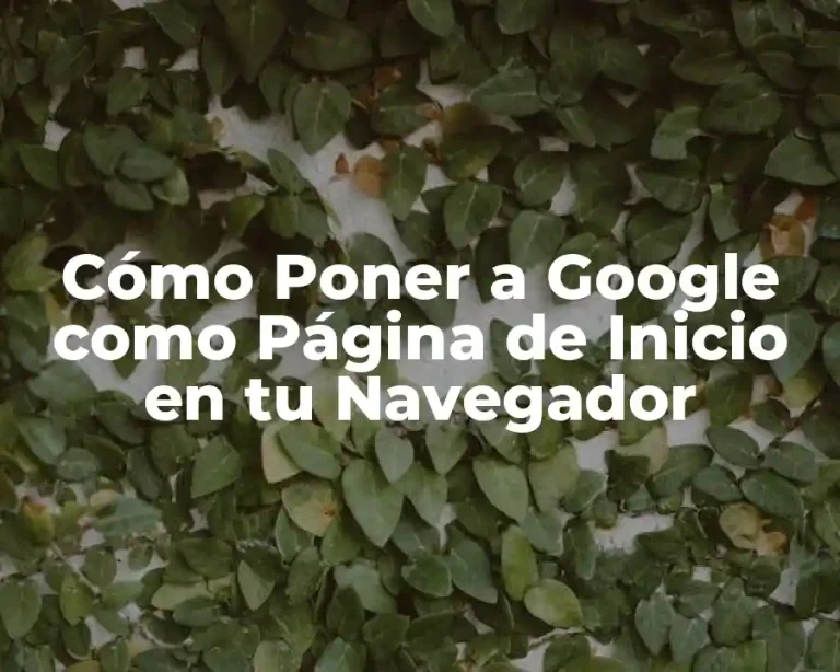 Cómo Poner a Google como Página de Inicio en tu Navegador