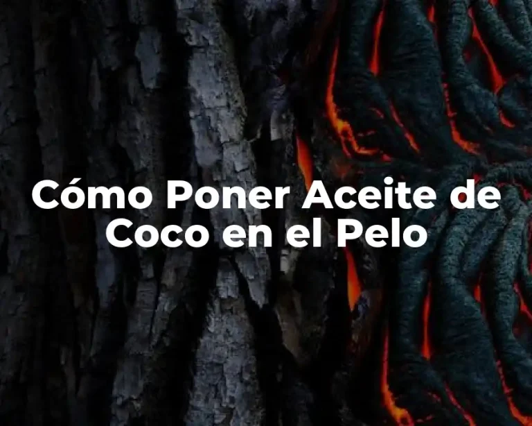 Cómo Poner Aceite de Coco en el Pelo
