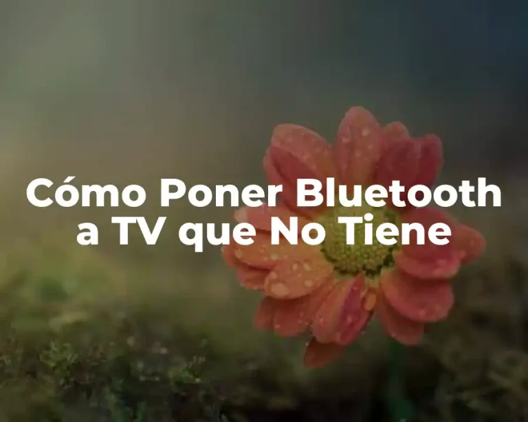 Cómo Poner Bluetooth a TV que No Tiene