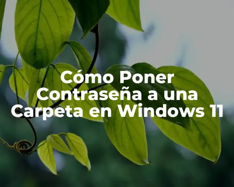 Cómo Poner Contraseña a una Carpeta en Windows 11
