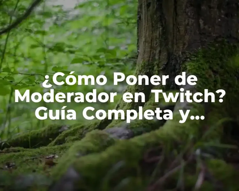 ¿Cómo Poner de Moderador en Twitch? Guía Completa y Actualizada
