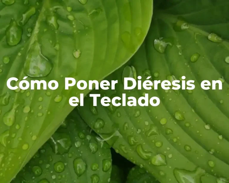 Cómo Poner Diéresis en el Teclado