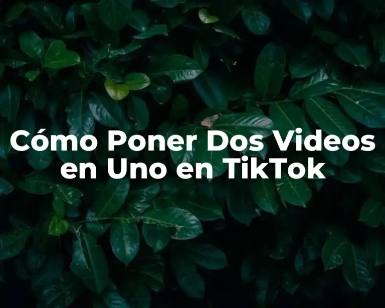 Cómo Poner Dos Videos en Uno en TikTok