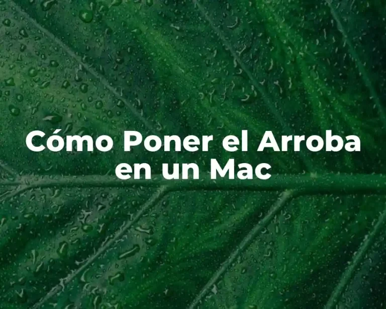 Cómo Poner el Arroba en un Mac