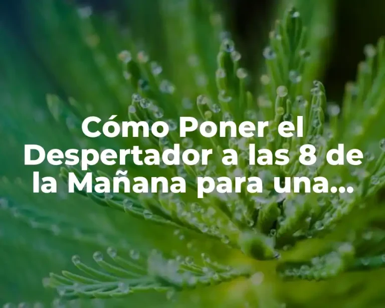 Cómo Poner el Despertador a las 8 de la Mañana para una Rutina Saludable