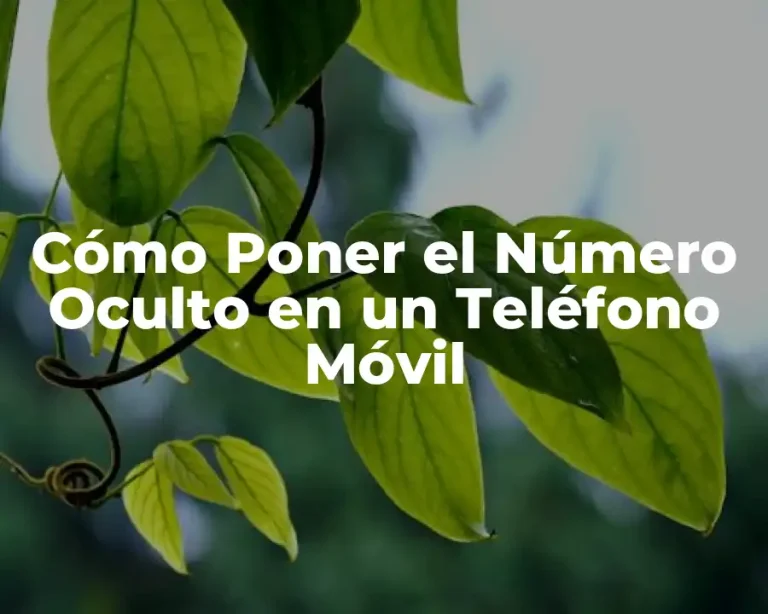 Cómo Poner el Número Oculto en un Teléfono Móvil