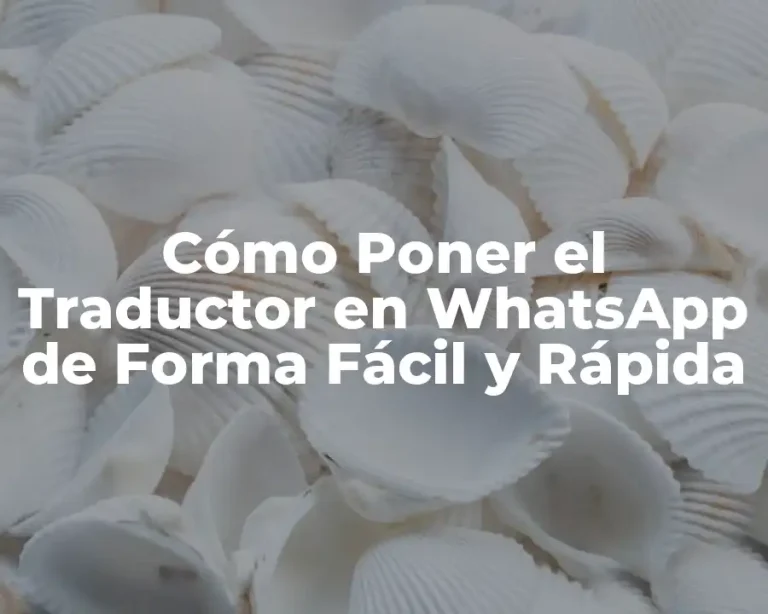 Cómo Poner el Traductor en WhatsApp de Forma Fácil y Rápida