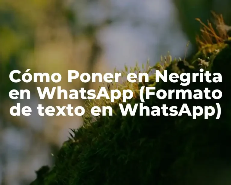 Cómo Poner en Negrita en WhatsApp (Formato de texto en WhatsApp)