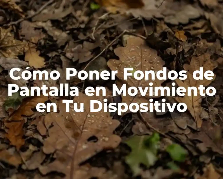 Cómo Poner Fondos de Pantalla en Movimiento en Tu Dispositivo
