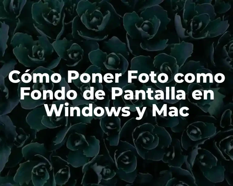 Cómo Poner Foto como Fondo de Pantalla en Windows y Mac
