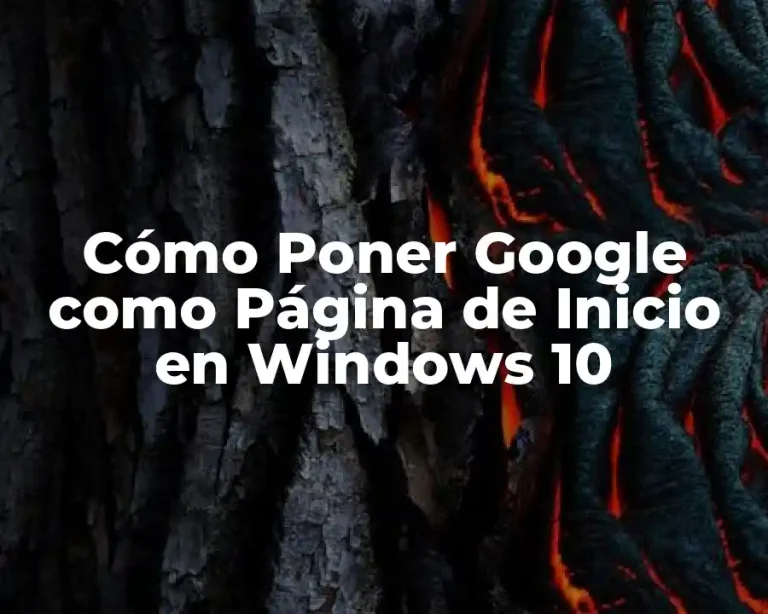 Cómo Poner Google como Página de Inicio en Windows 10