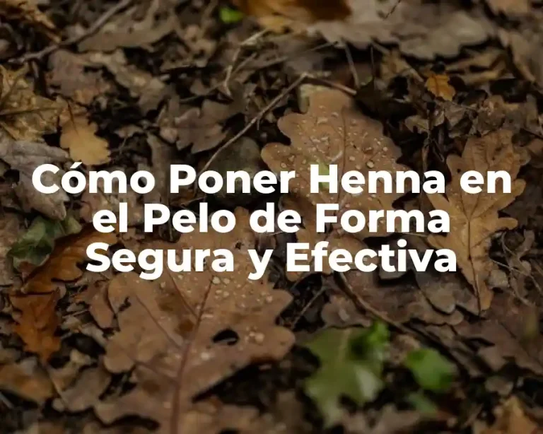 Cómo Poner Henna en el Pelo de Forma Segura y Efectiva