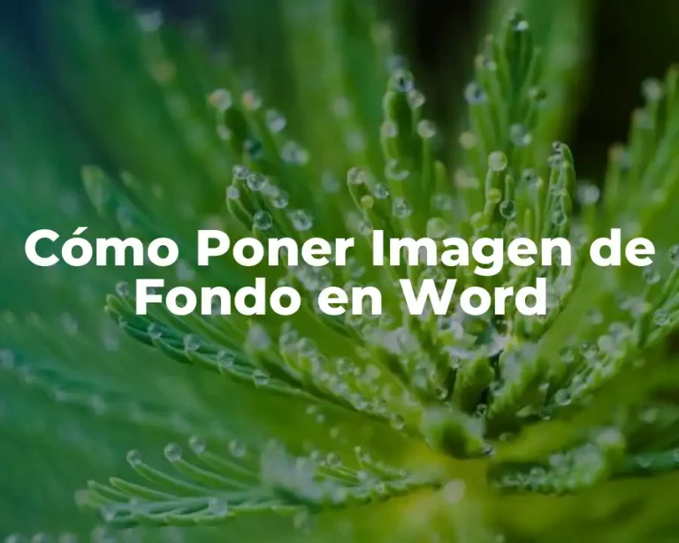 Cómo Poner Imagen de Fondo en Word