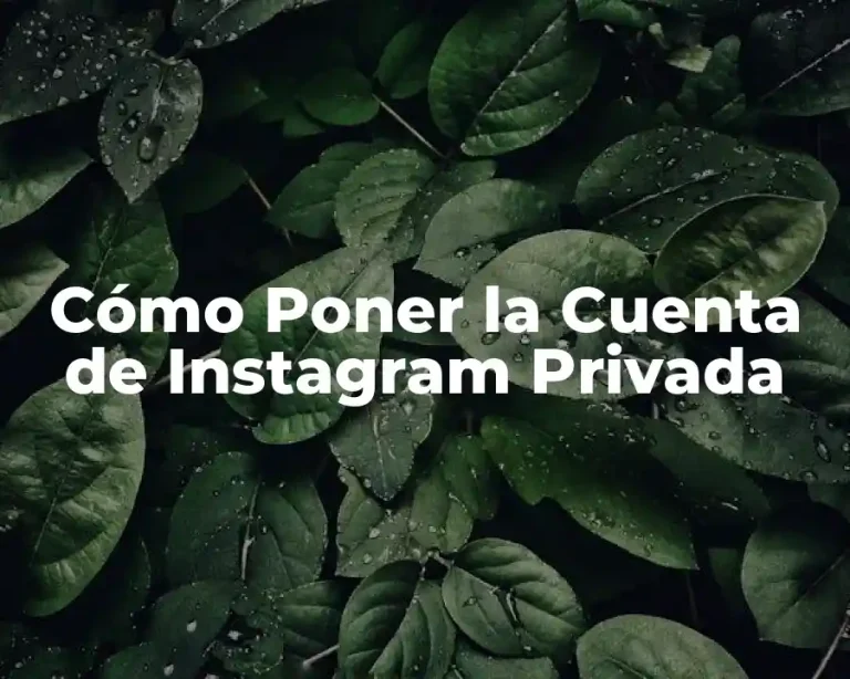 Cómo Poner la Cuenta de Instagram Privada