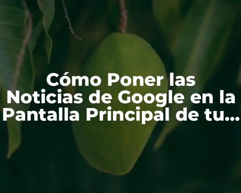 Cómo Poner las Noticias de Google en la Pantalla Principal de tu Dispositivo