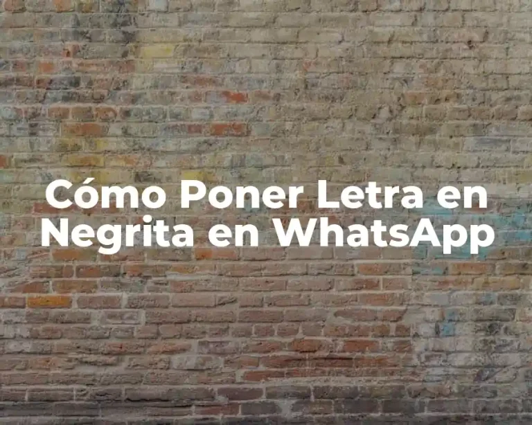 Cómo Poner Letra en Negrita en WhatsApp