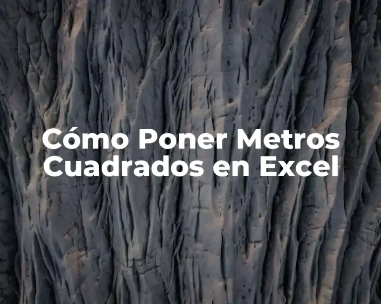 Cómo Poner Metros Cuadrados en Excel