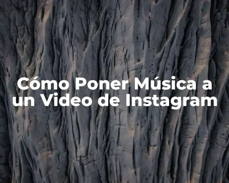 Cómo Poner Música a un Video de Instagram