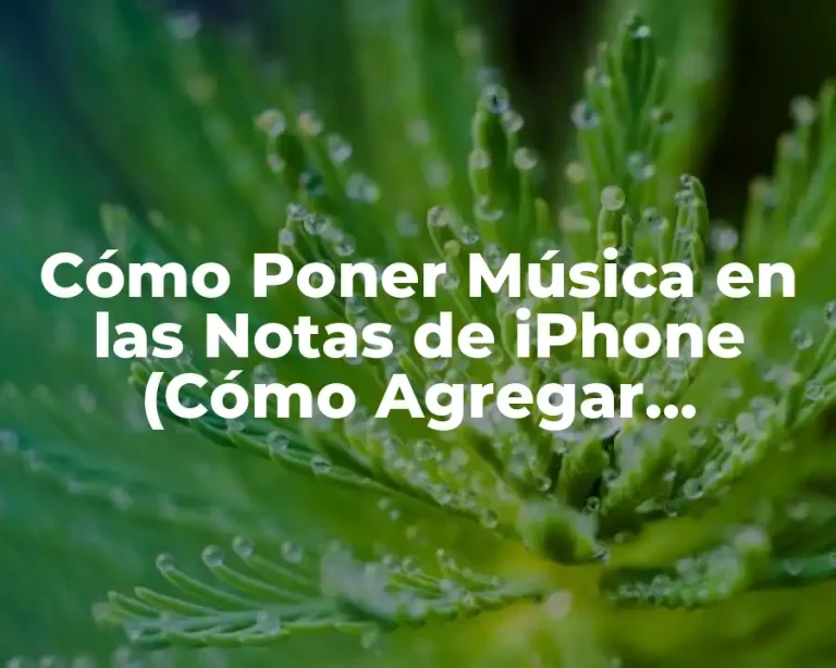 Cómo Poner Música en las Notas de iPhone (Cómo Agregar canciones a Notas de iPhone)