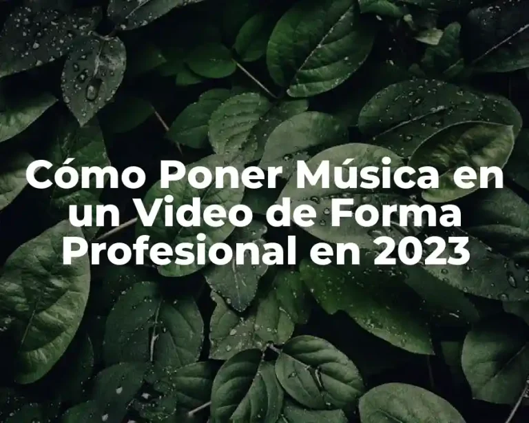 Cómo Poner Música en un Video de Forma Profesional en 2023