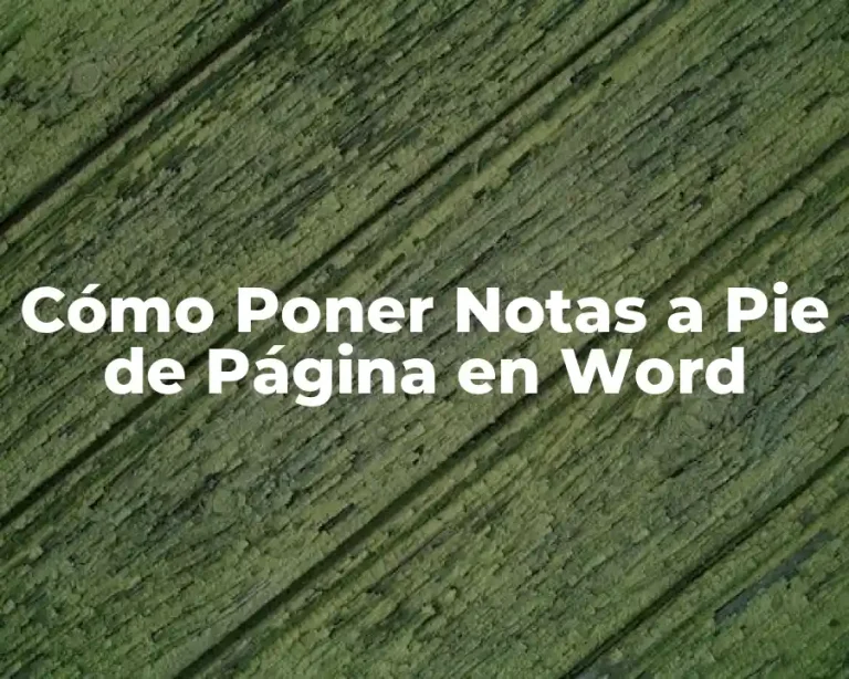 Cómo Poner Notas a Pie de Página en Word