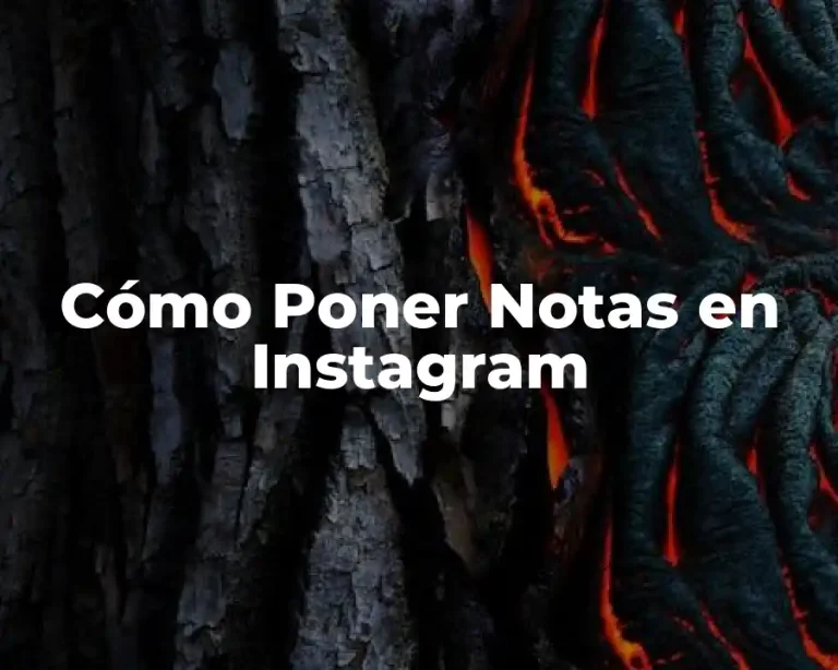 Cómo Poner Notas en Instagram