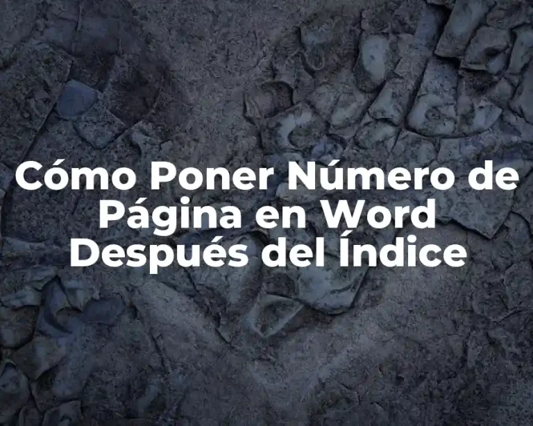 Cómo Poner Número de Página en Word Después del Índice