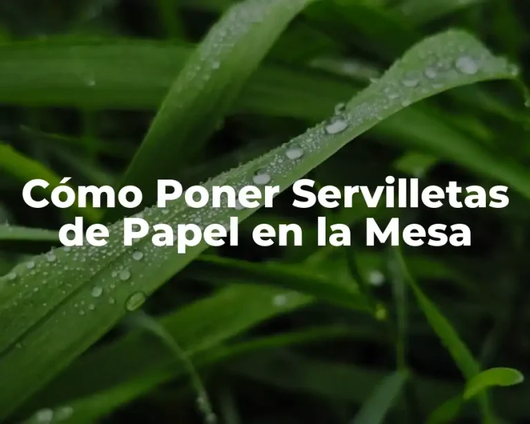 Cómo Poner Servilletas de Papel en la Mesa