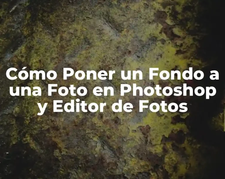 Cómo Poner un Fondo a una Foto en Photoshop y Editor de Fotos