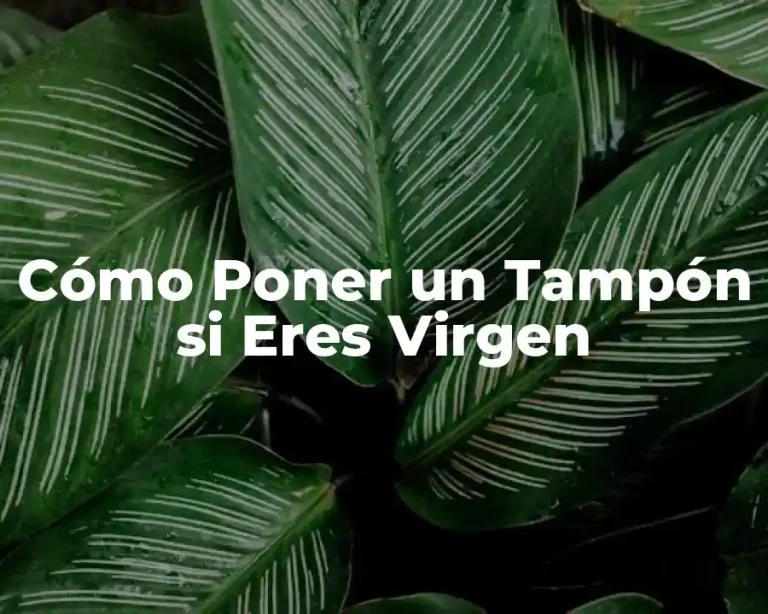 Cómo Poner un Tampón si Eres Virgen