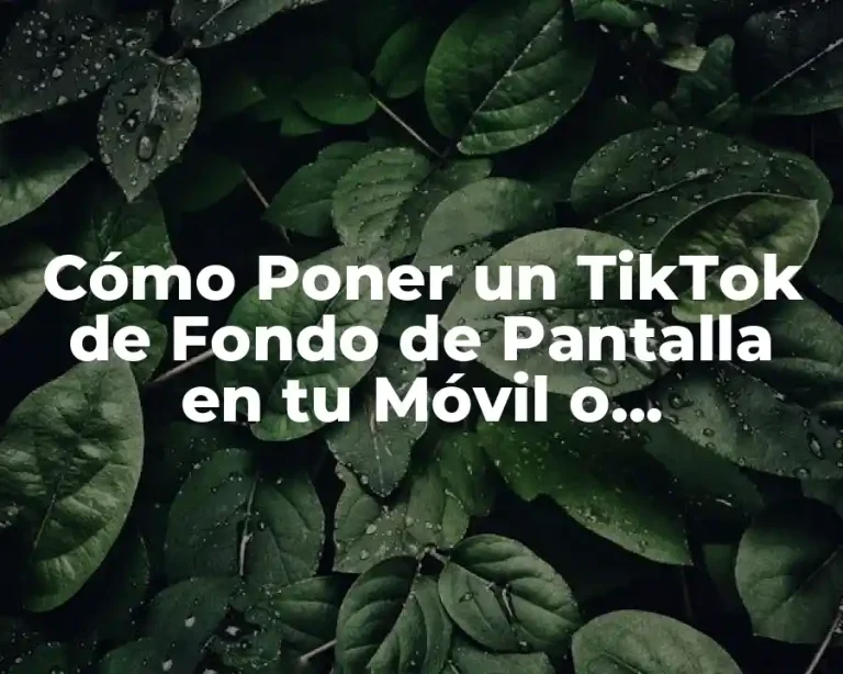 Cómo Poner un TikTok de Fondo de Pantalla en tu Móvil o Computadora