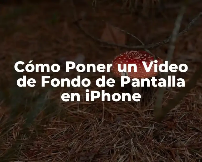 Cómo Poner un Video de Fondo de Pantalla en iPhone