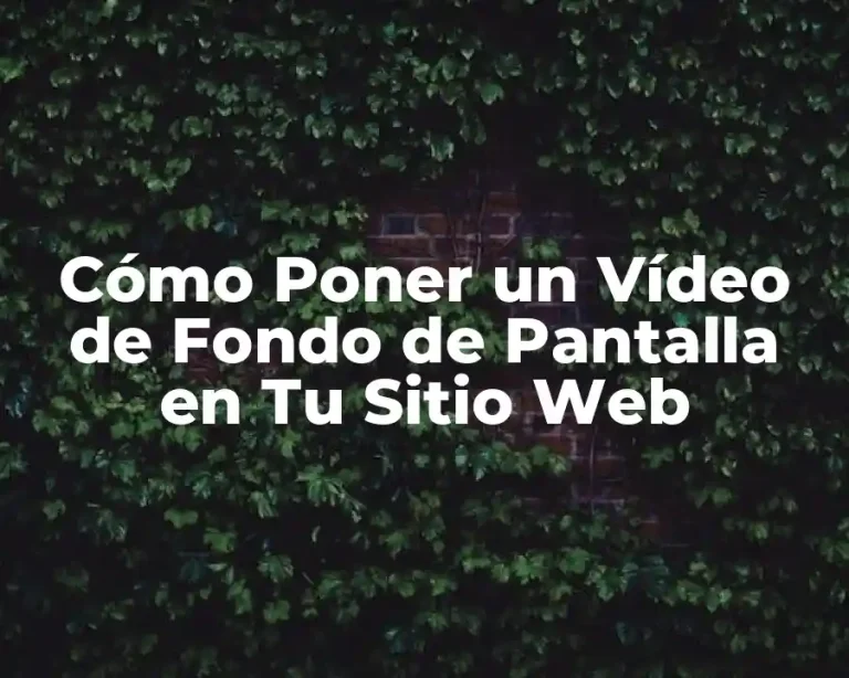 Cómo Poner un Vídeo de Fondo de Pantalla en Tu Sitio Web