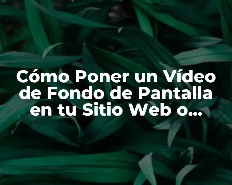 Cómo Poner un Vídeo de Fondo de Pantalla en tu Sitio Web o Presentación