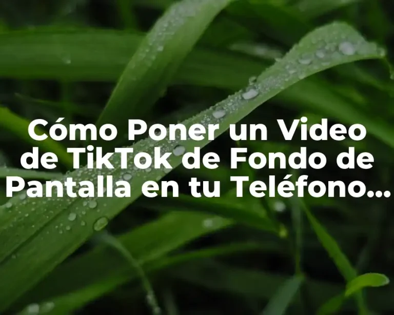 Cómo Poner un Video de TikTok de Fondo de Pantalla en tu Teléfono o Computadora