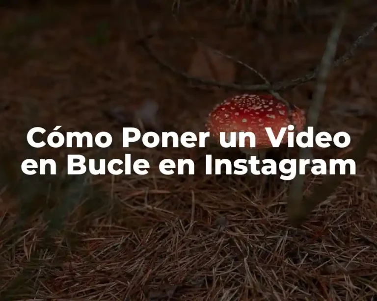 Cómo Poner un Video en Bucle en Instagram