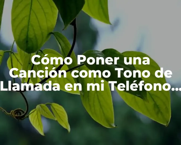 Cómo Poner una Canción como Tono de Llamada en mi Teléfono Móvil