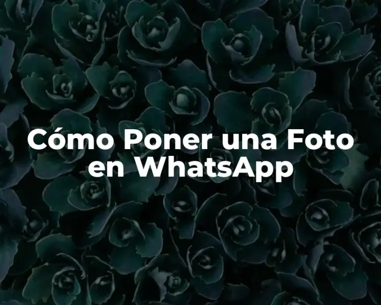 Cómo Poner una Foto en WhatsApp