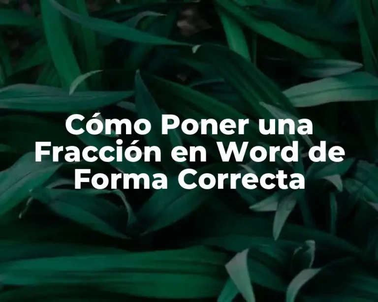 Cómo Poner una Fracción en Word de Forma Correcta